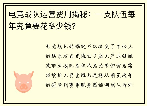 电竞战队运营费用揭秘：一支队伍每年究竟要花多少钱？
